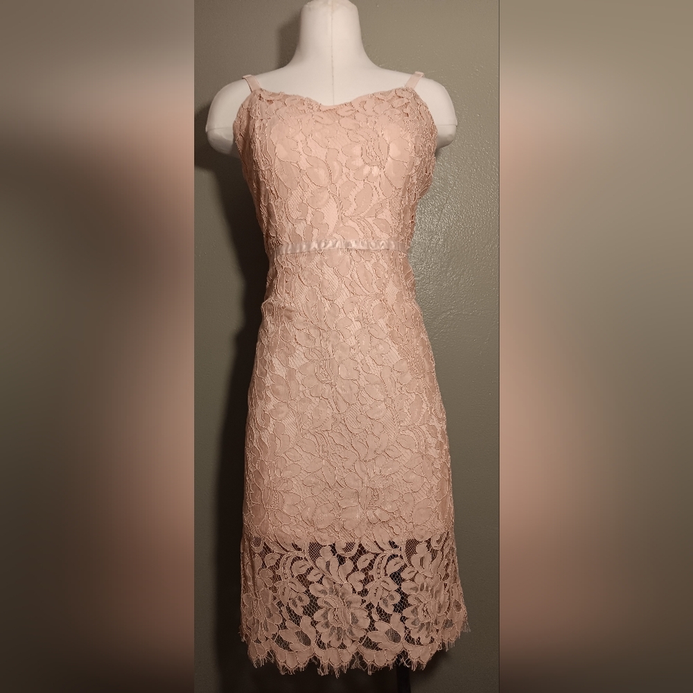 Elegant Lace Pink Dress